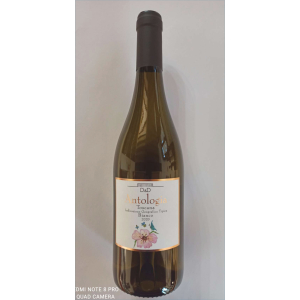 Bianco Toscana IGT 